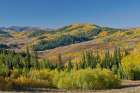 USA, Wyoming. Mountain view fall from Salt River Pass area aspen and maple Art Print